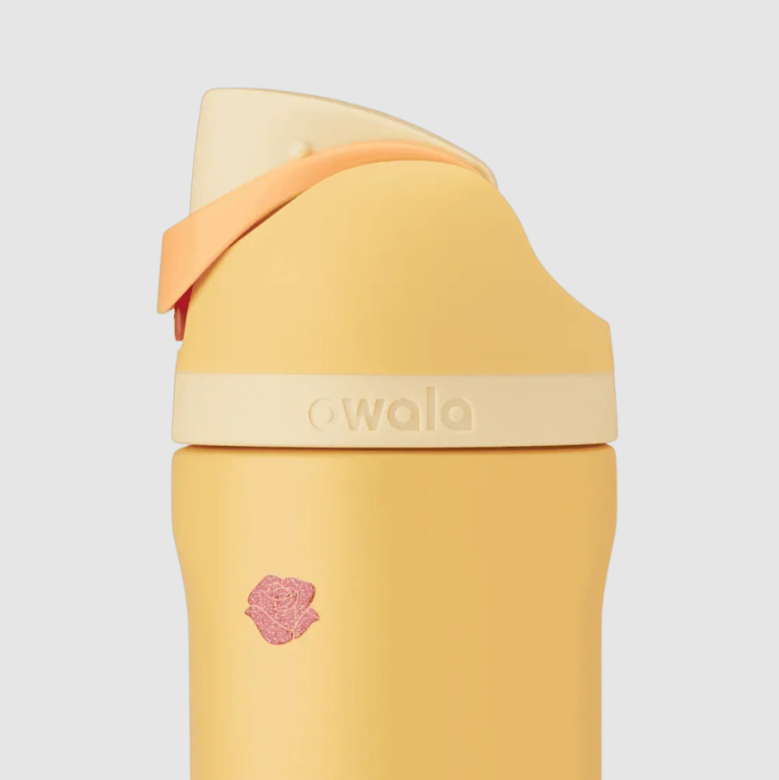 Owala Disney Princess Collection *Pre Orden*