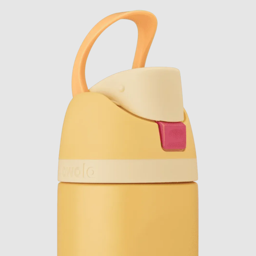 Owala Disney Princess Collection *Pre Orden*