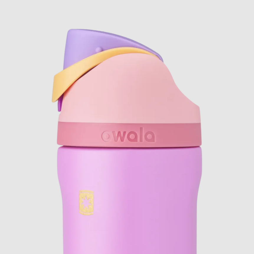 Owala Disney Princess Collection *Pre Orden*