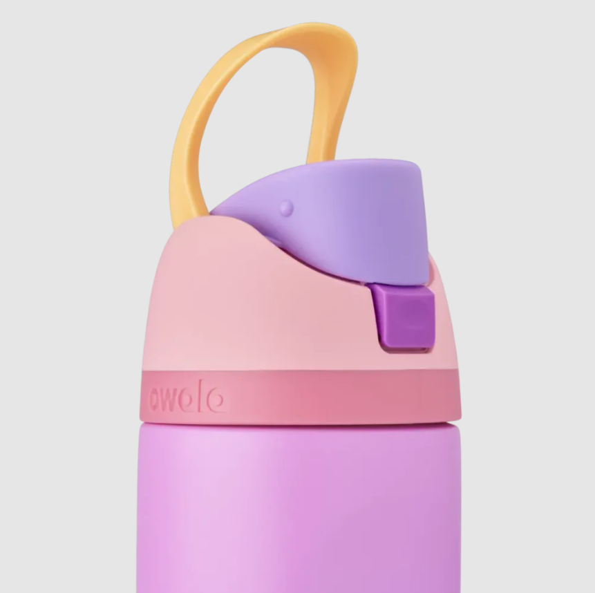 Owala Disney Princess Collection *Pre Orden*