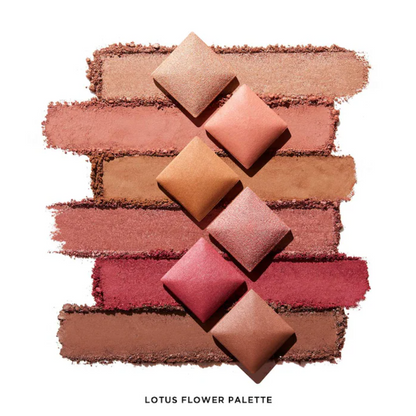 Hourglass Ambient Lighting Edit Unlocked Palette *Pre orden*