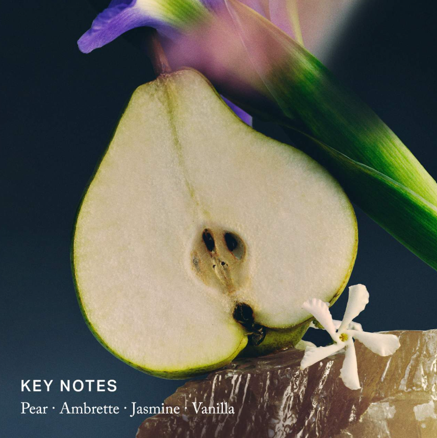 Merit Retrospect L’Extrait de Parfum *Pre Orden*