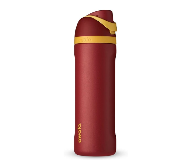 Owala Harry Potter FreeSip Insulated Stainless Steel Water Bottle with Straw *Pre Orden*