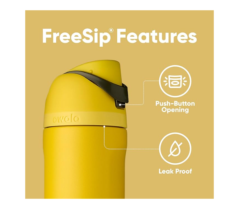 Owala Harry Potter FreeSip Insulated Stainless Steel Water Bottle with Straw *Pre Orden*