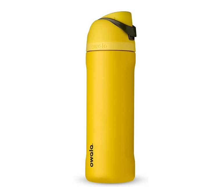 Owala Harry Potter FreeSip Insulated Stainless Steel Water Bottle with Straw *Pre Orden*