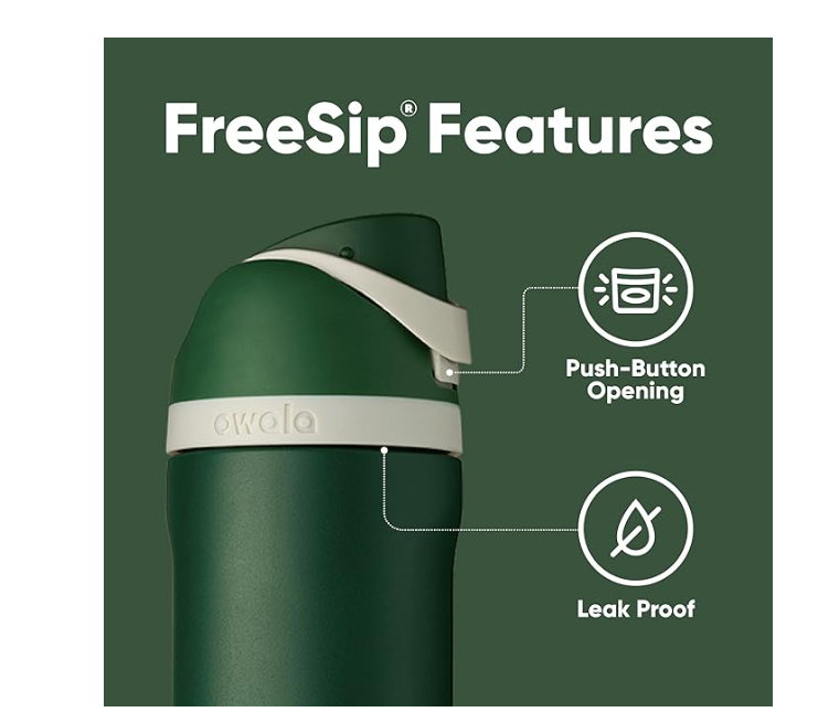 Owala Harry Potter FreeSip Insulated Stainless Steel Water Bottle with Straw *Pre Orden*